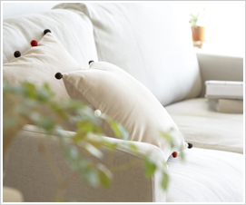 Bed Room & Living Room